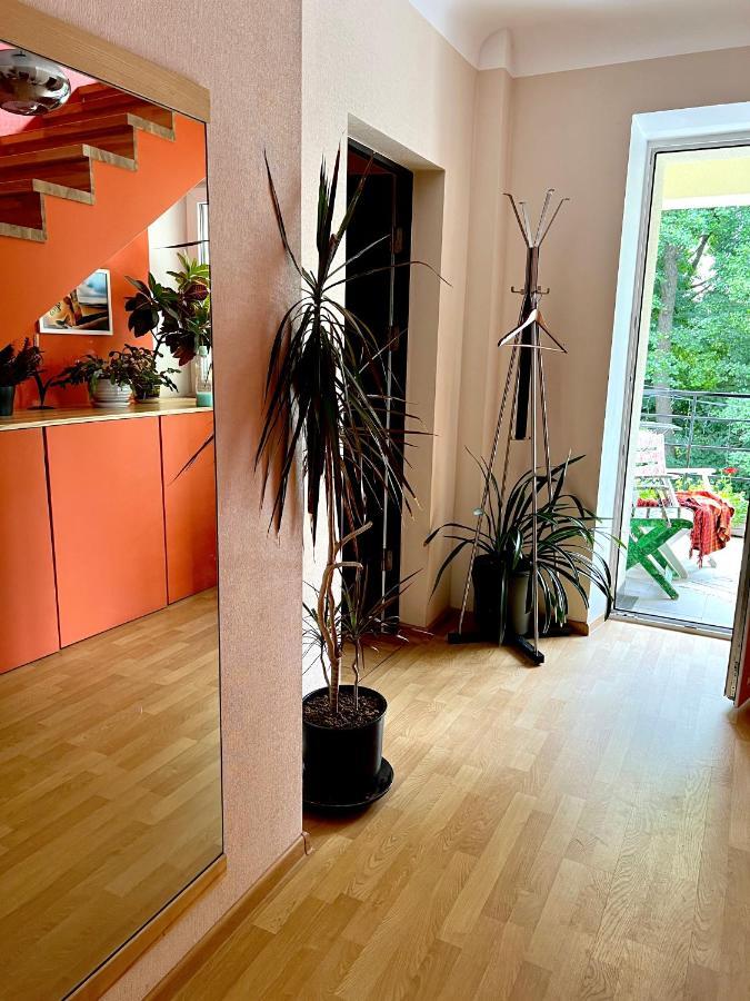 Studio Apartment And Free Airport Transfer Riga Exterior photo