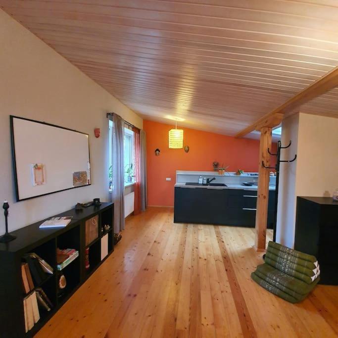 Studio Apartment And Free Airport Transfer Riga Exterior photo