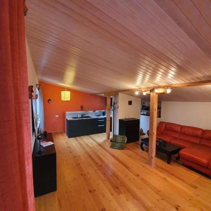 Studio Apartment And Free Airport Transfer Riga Exterior photo