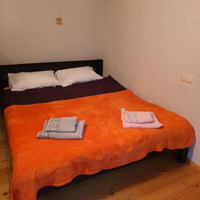 Studio Apartment And Free Airport Transfer Riga Exterior photo