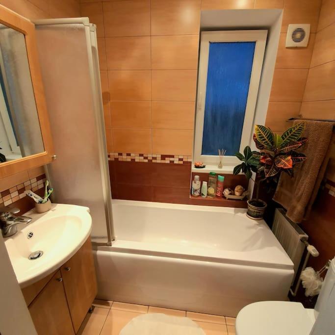 Studio Apartment And Free Airport Transfer Riga Exterior photo